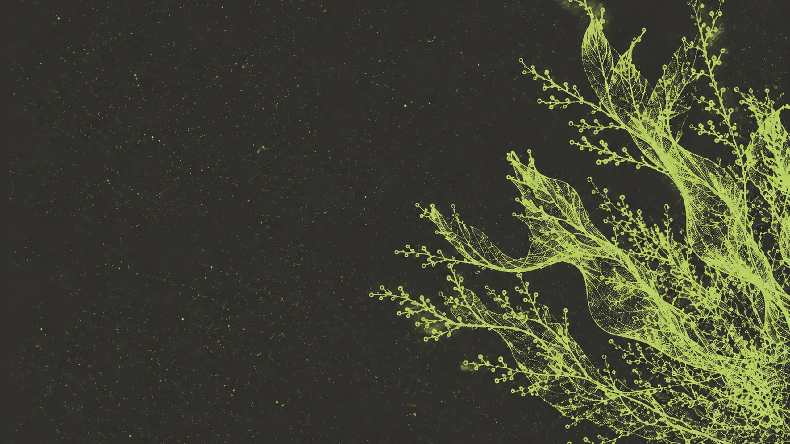 Structures organiques en stipple vert sur fond marron, onglet Comparatif